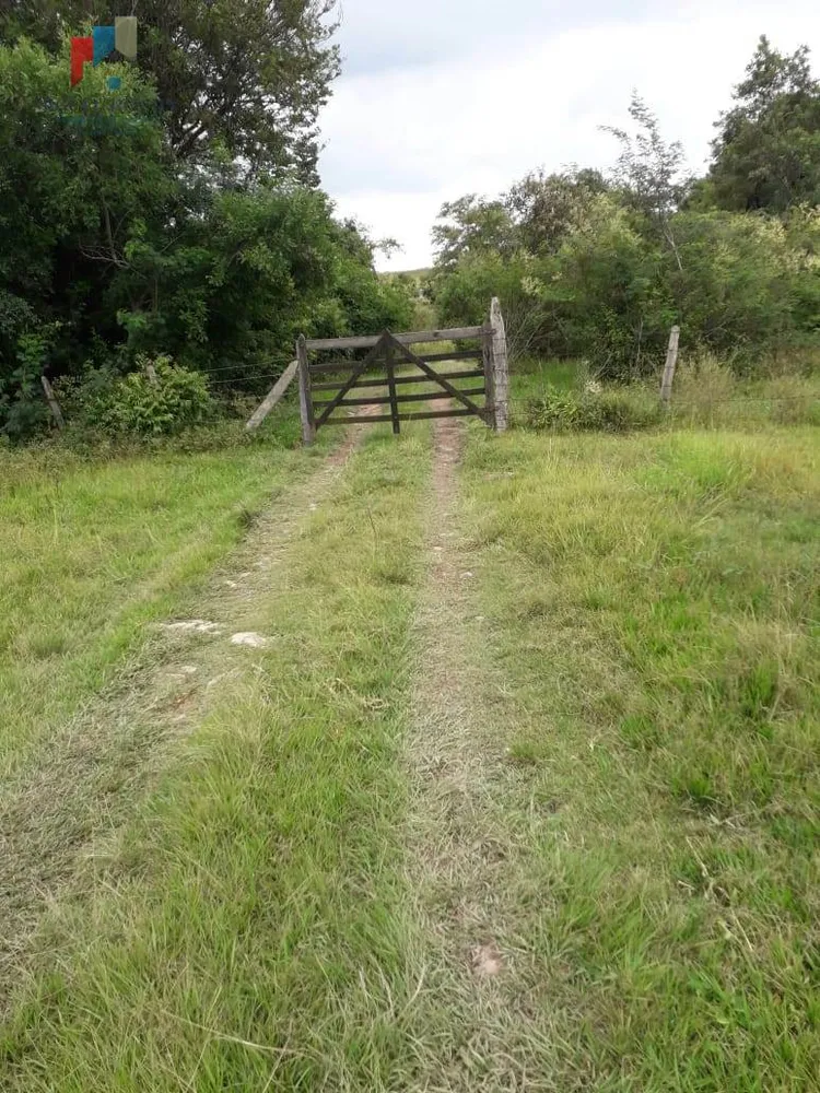 Terreno, 6 hectares - Foto 6