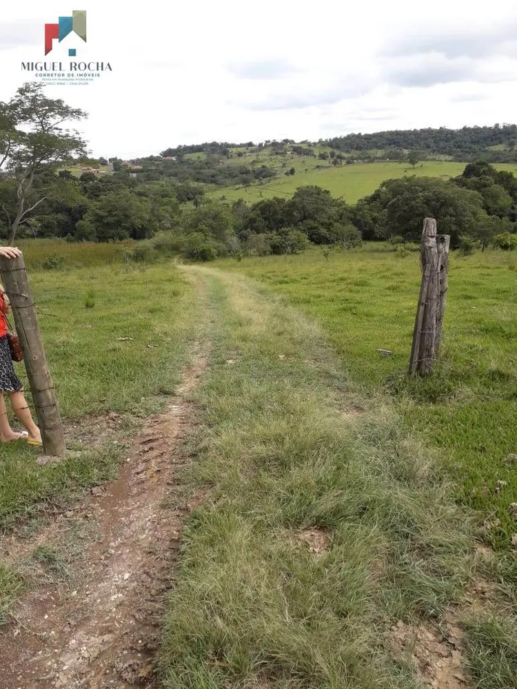 Terreno, 6 hectares - Foto 1