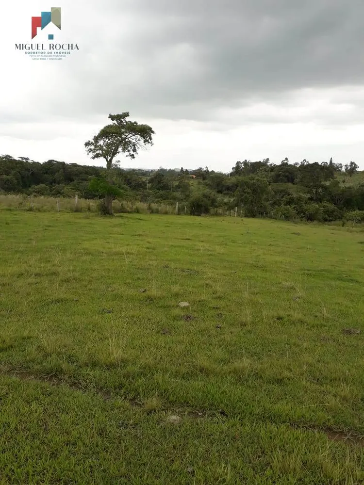 Terreno, 6 hectares - Foto 10