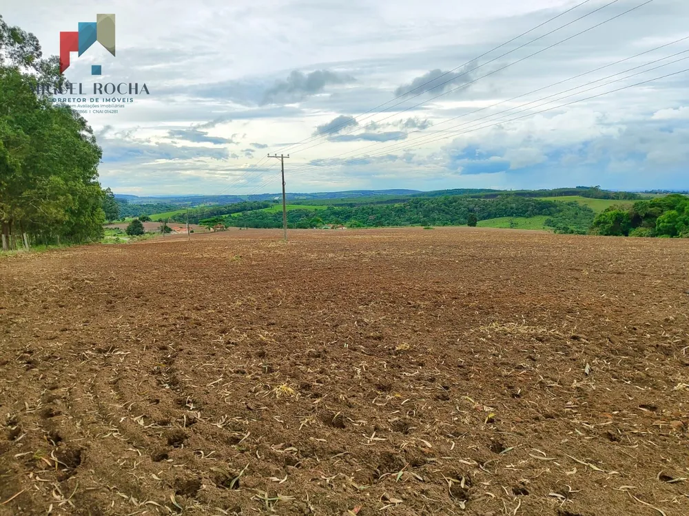 Fazenda, 117 hectares - Foto 10