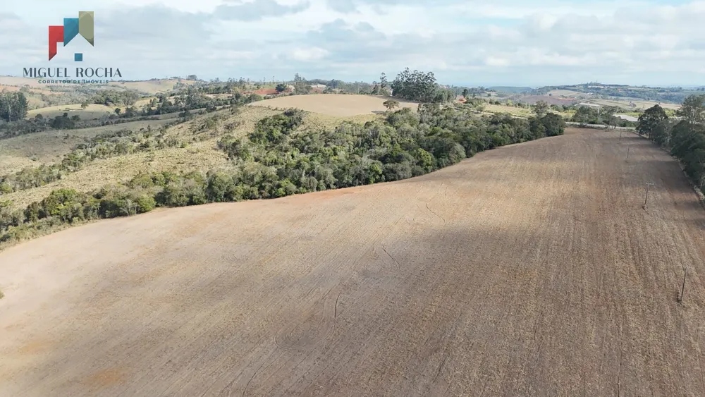Fazenda, 117 hectares - Foto 13