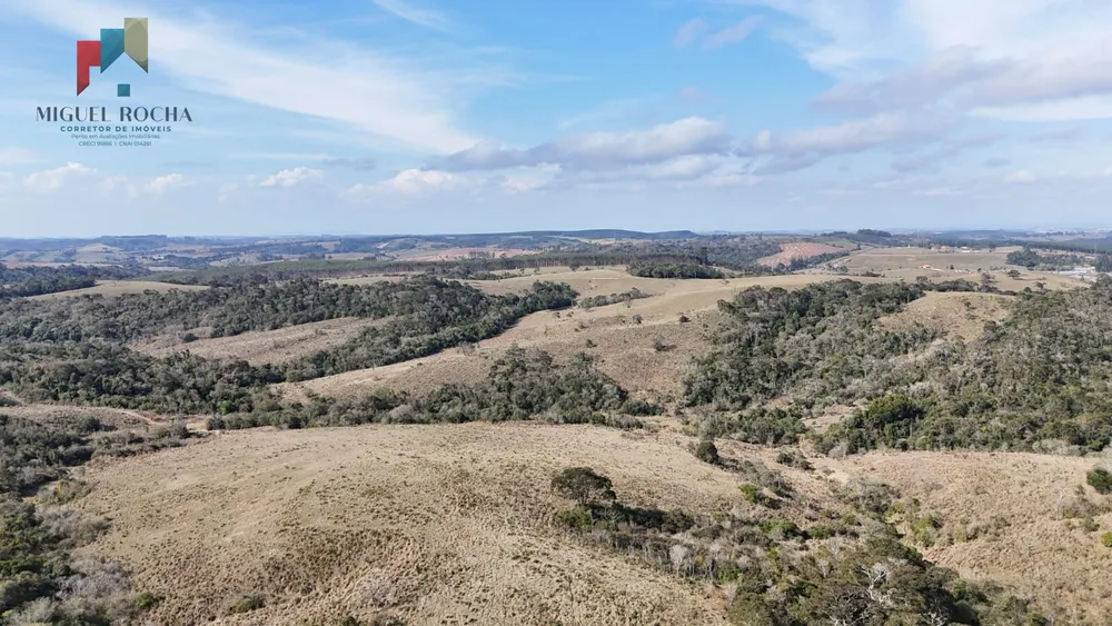 Fazenda, 117 hectares - Foto 14