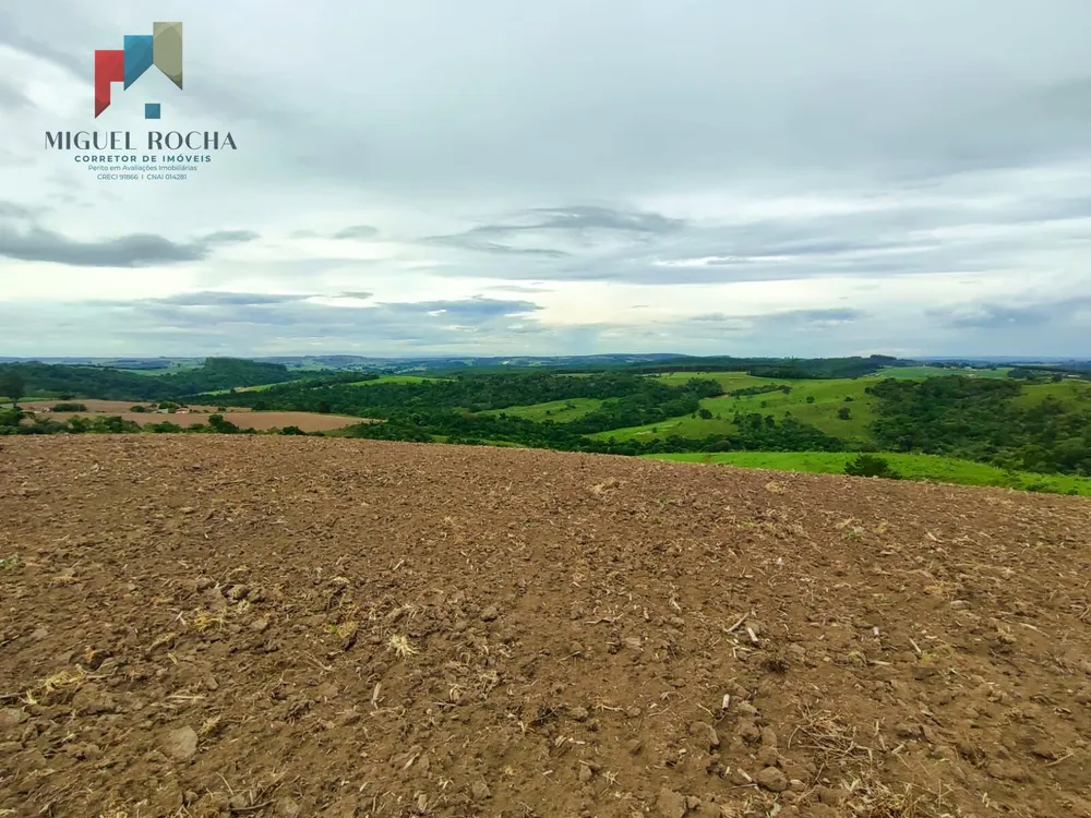 Fazenda, 117 hectares - Foto 9