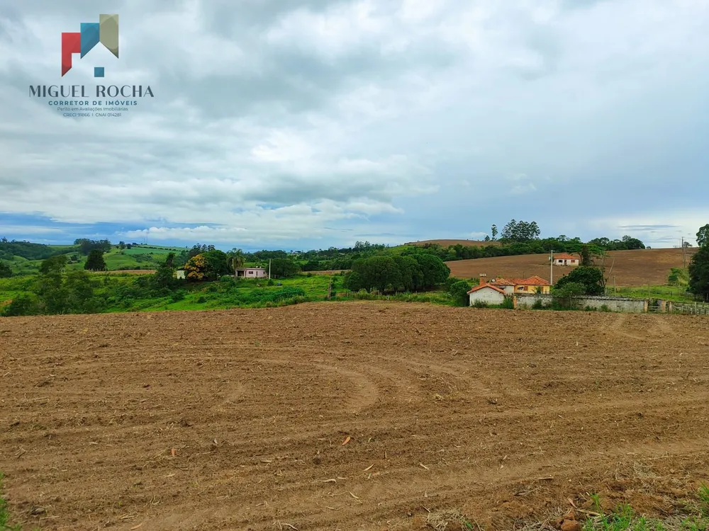 Fazenda, 117 hectares - Foto 12