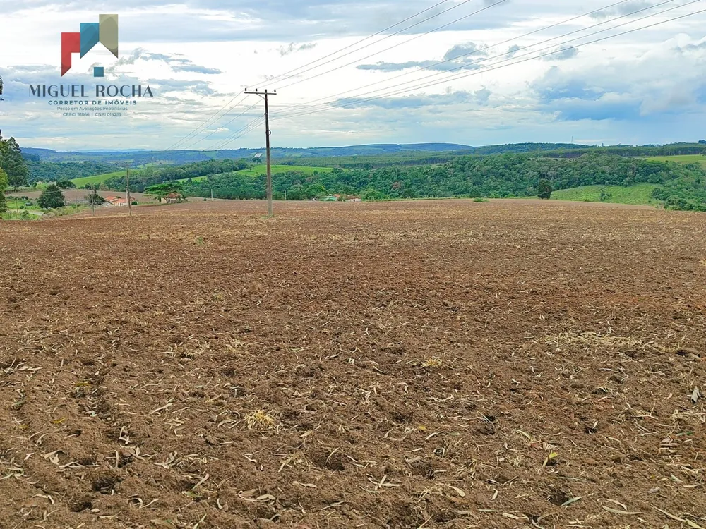 Fazenda, 117 hectares - Foto 11