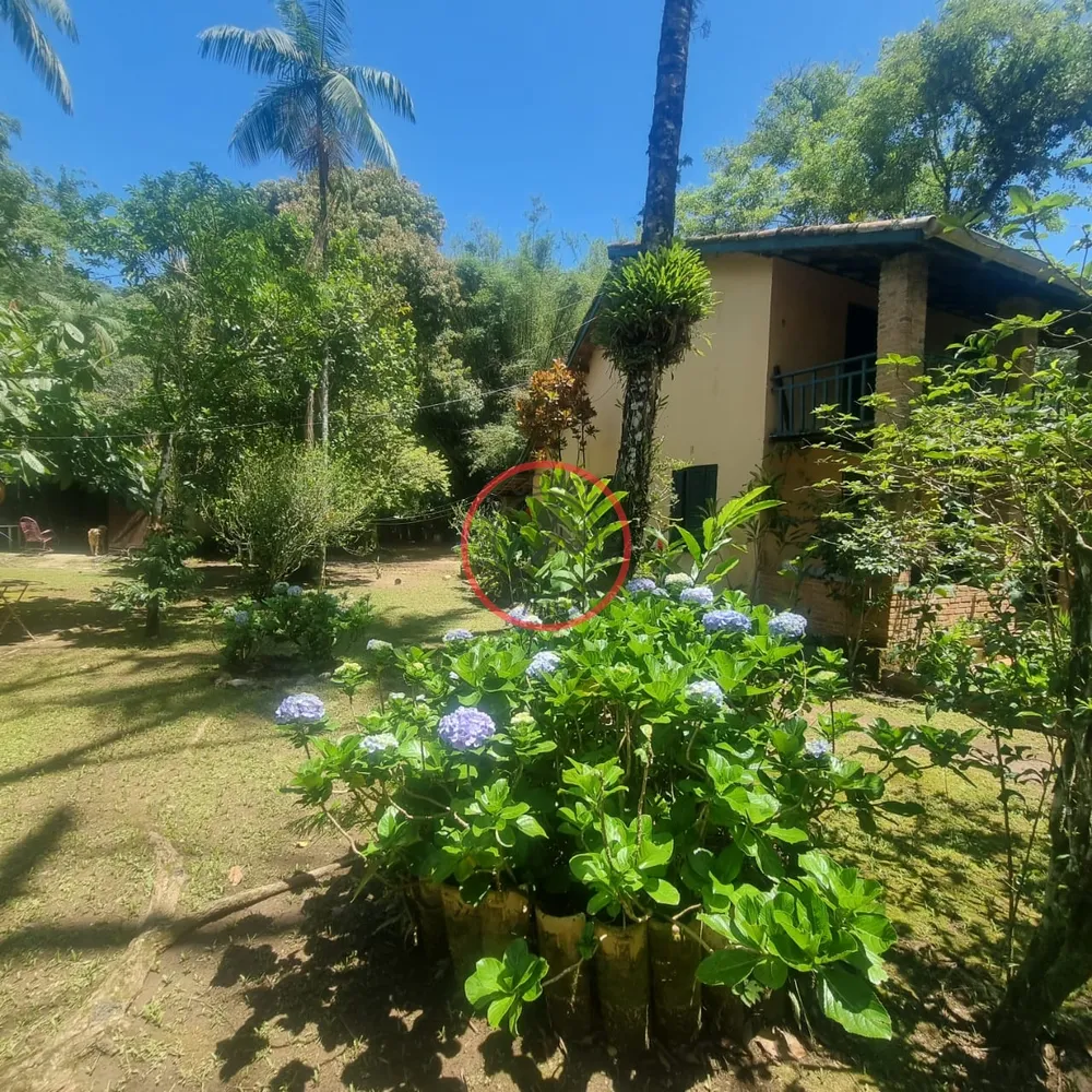 Casa, 2 quartos, 237 m² - Foto 16