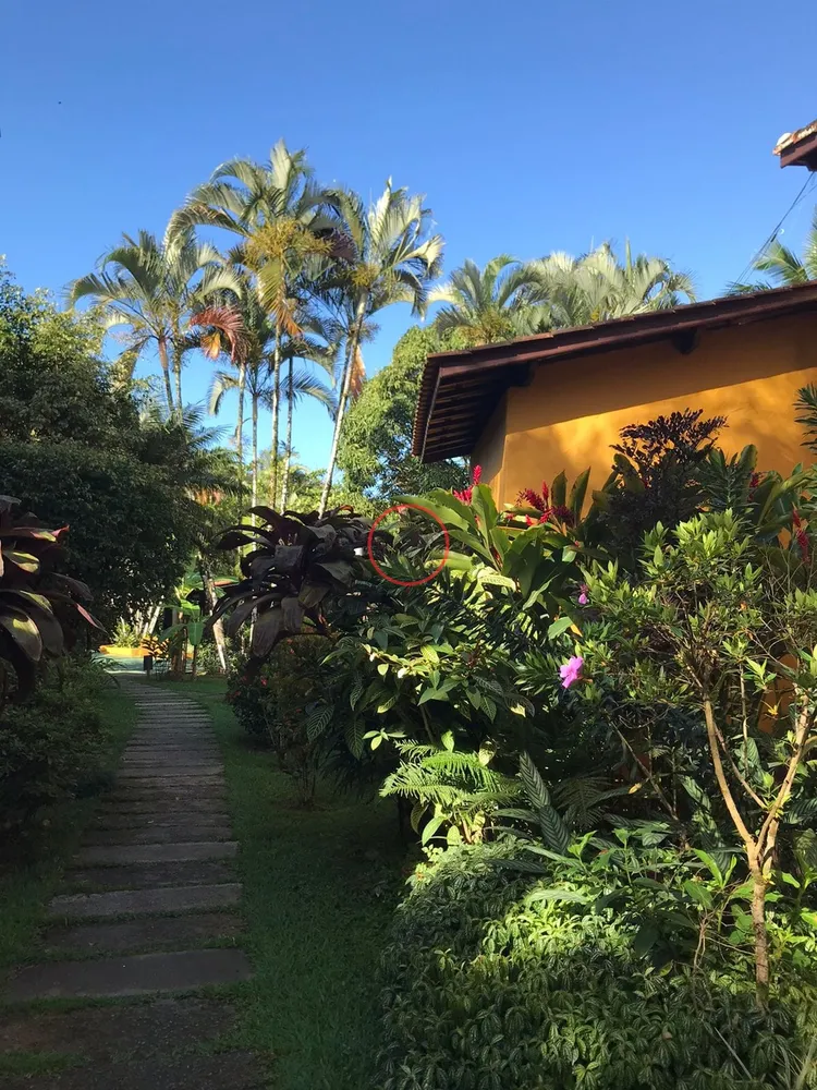 Casa, 2 quartos, 34 m² - Foto 3