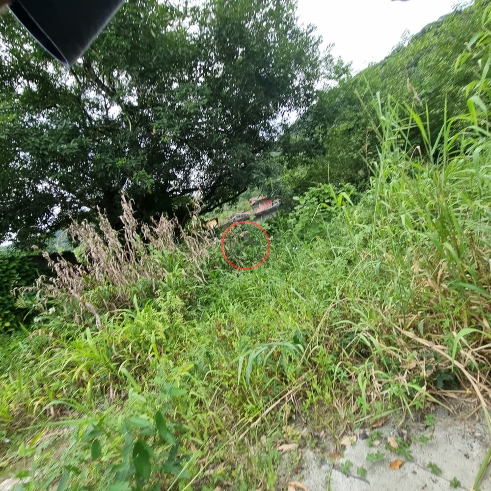 Terreno, 1 m² - Foto 4