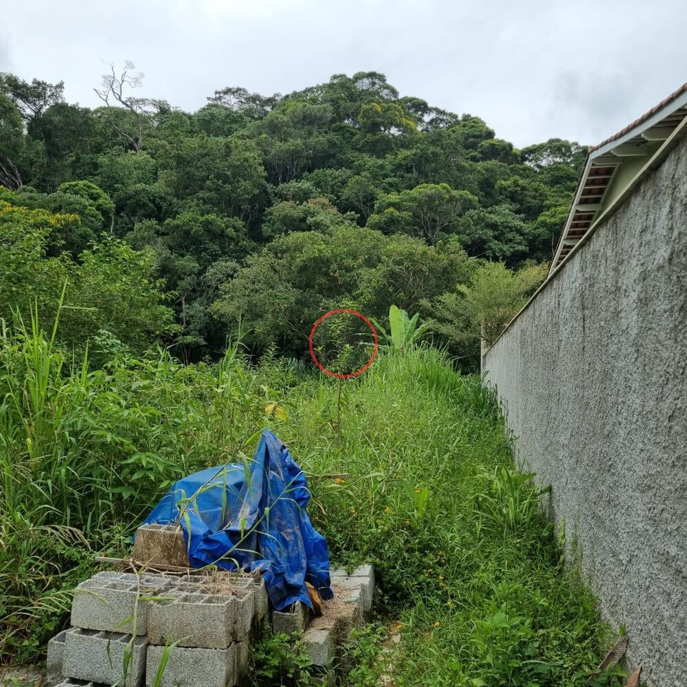 Terreno, 1 m² - Foto 6