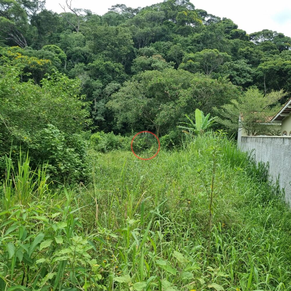Terreno, 1 m² - Foto 10