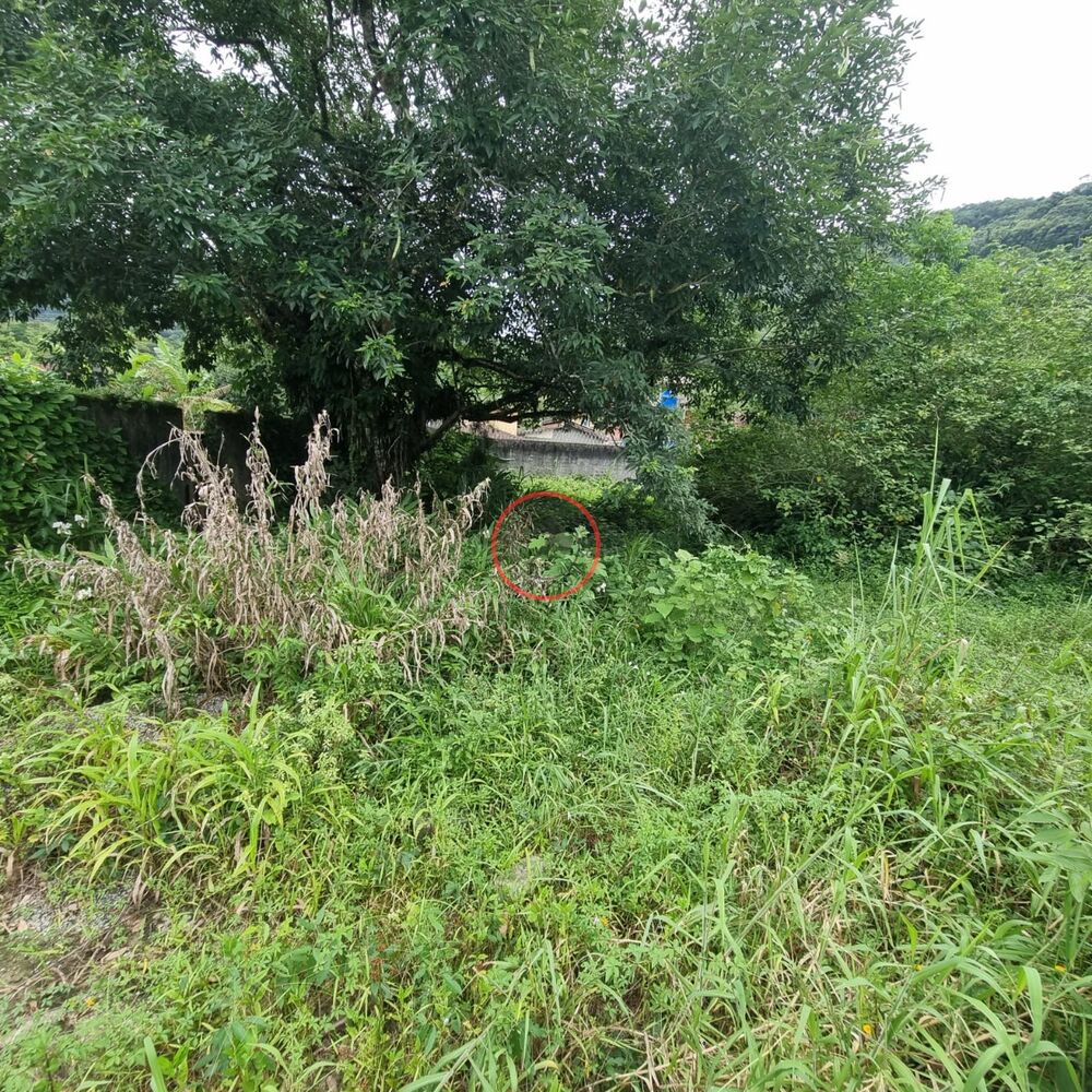 Terreno, 1 m² - Foto 9
