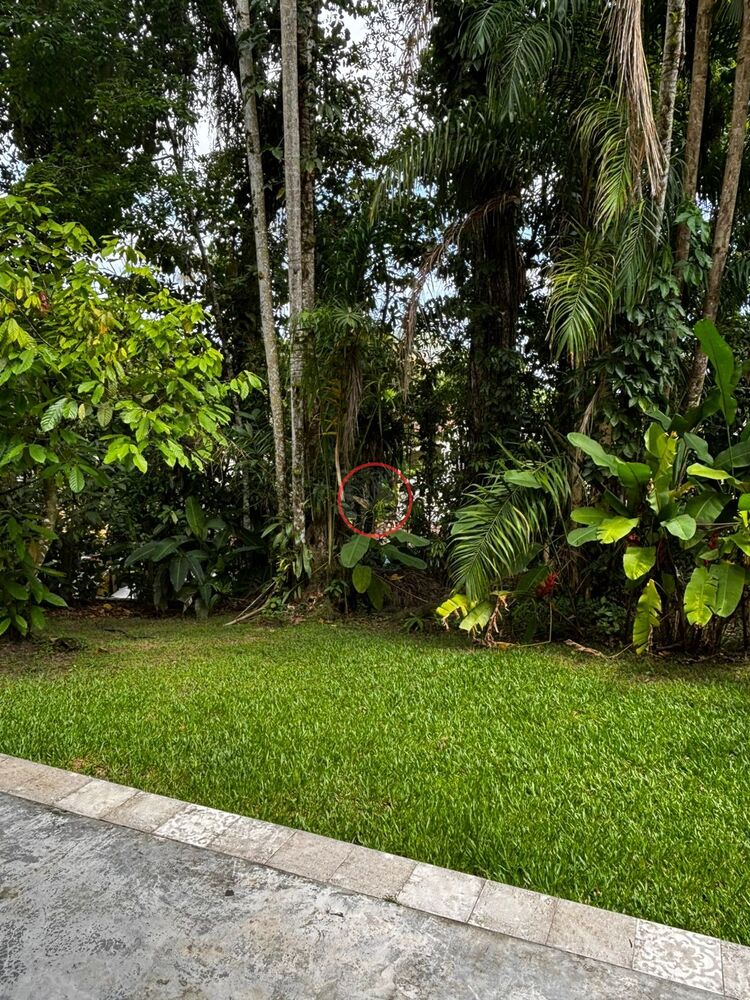 Casa, 2 quartos, 190 m² - Foto 4