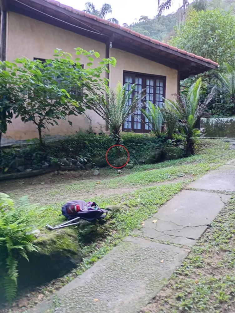 Casa, 7 quartos, 600 m² - Foto 9