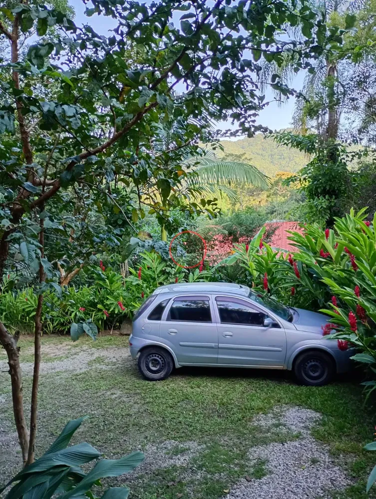 Casa, 7 quartos, 600 m² - Foto 11