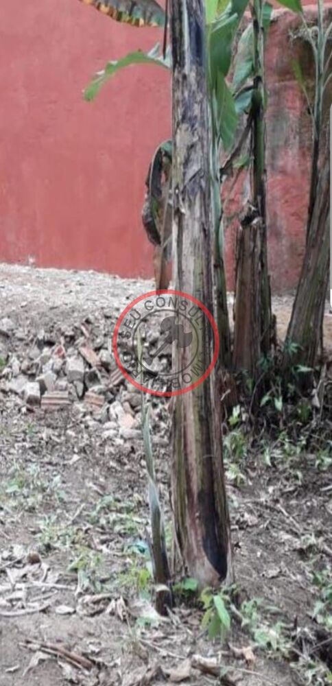 Terreno, 400 m² - Foto 6