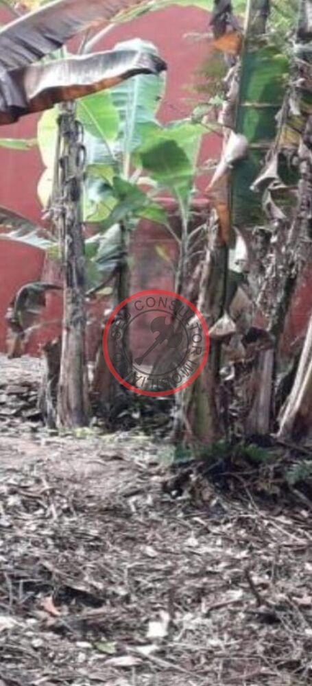 Terreno, 400 m² - Foto 5