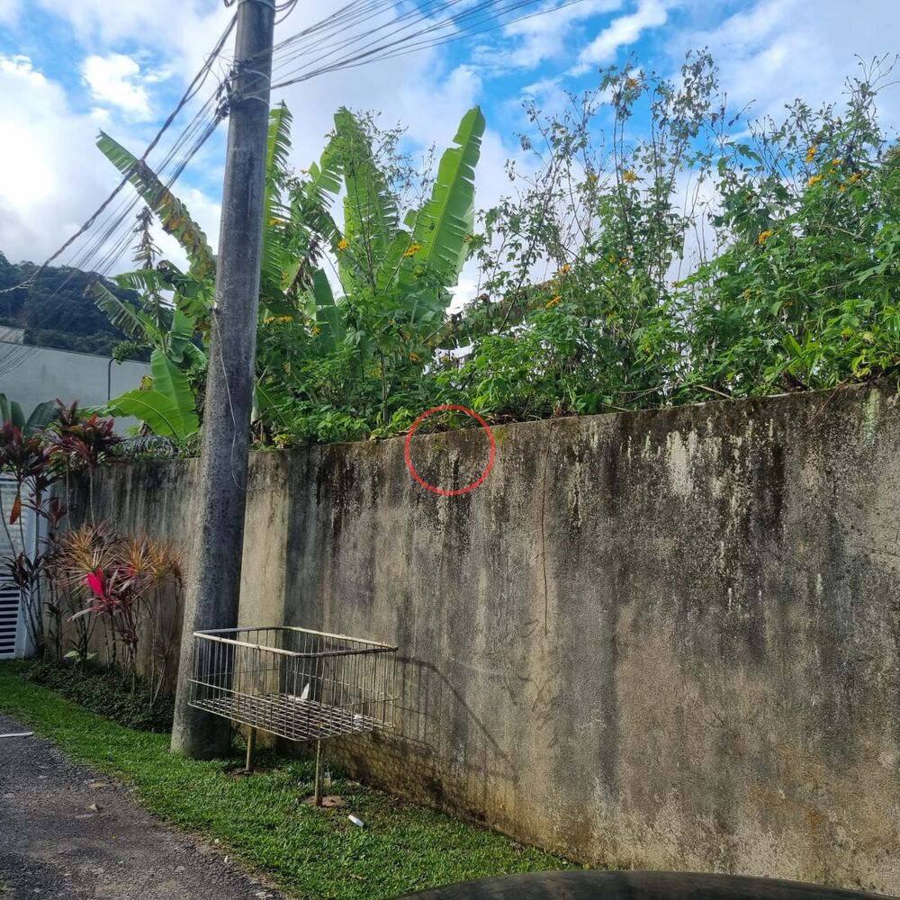 Terreno, 400 m² - Foto 1
