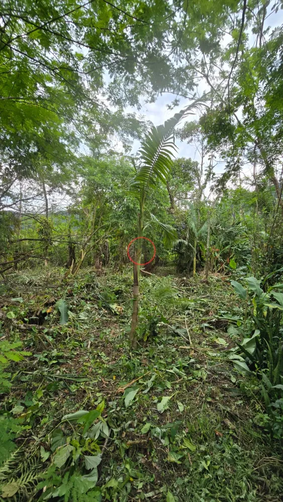 Terreno, 670 m² - Foto 7