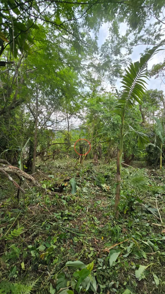 Terreno, 670 m² - Foto 8