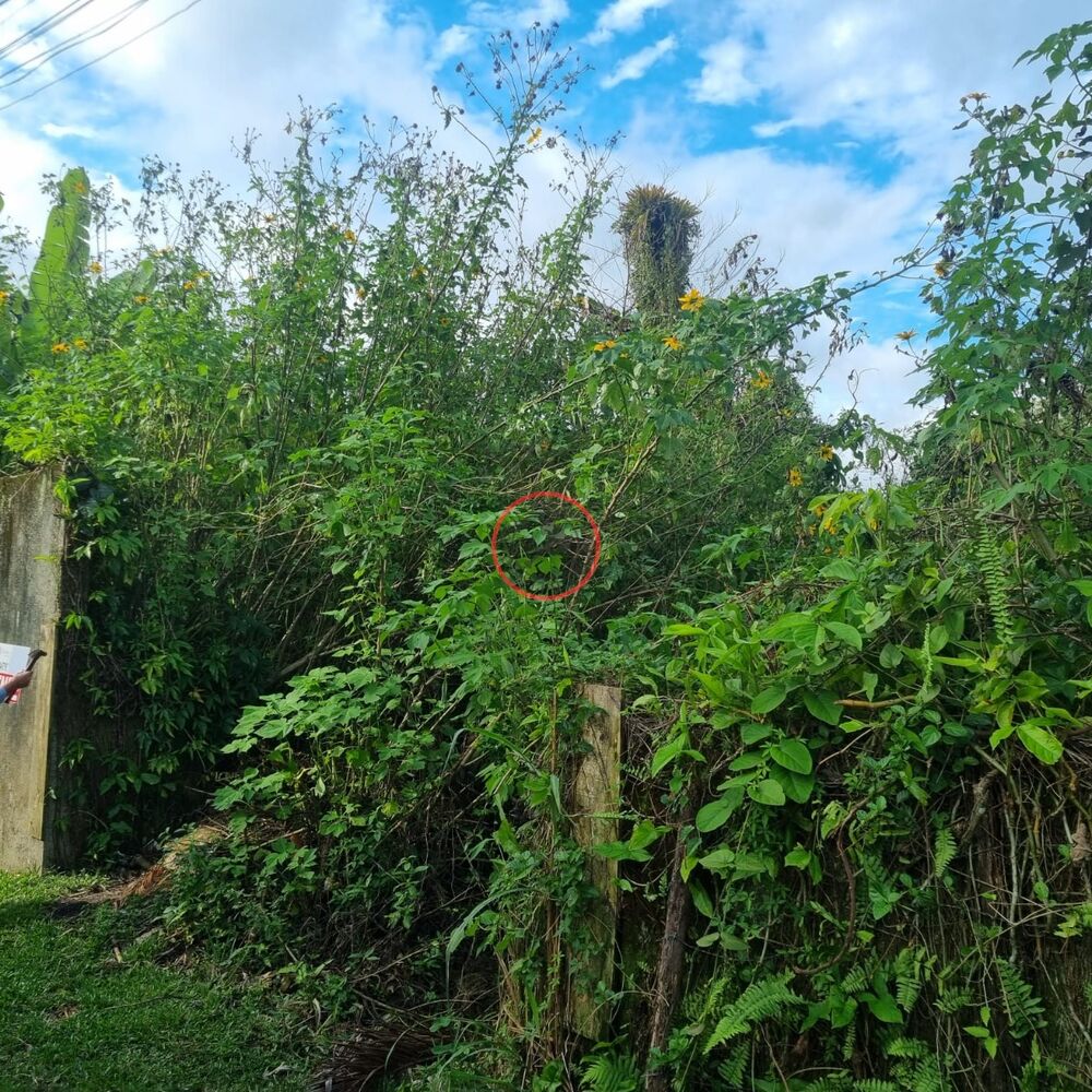 Terreno, 400 m² - Foto 2