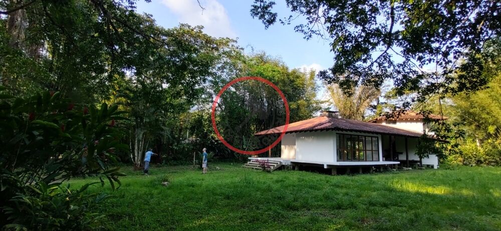 Casa à venda com 2 quartos, 240m² - Foto 5