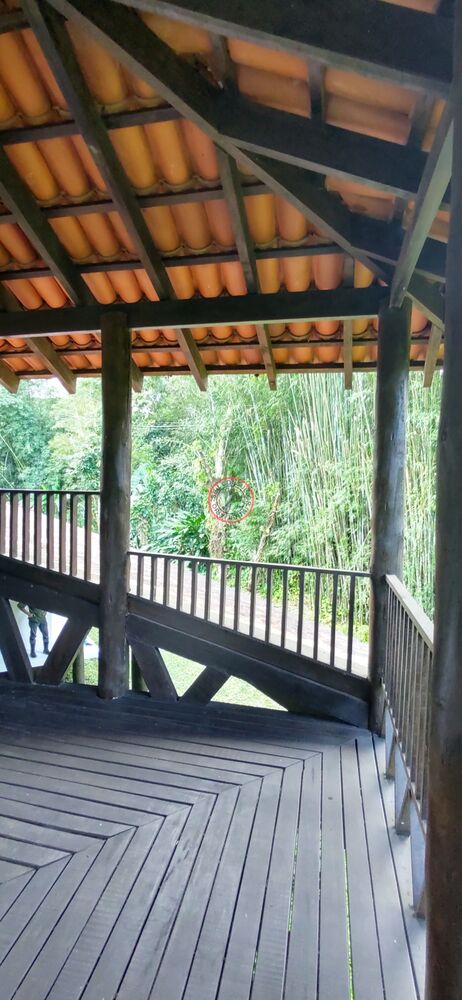 Casa à venda com 2 quartos, 240m² - Foto 16