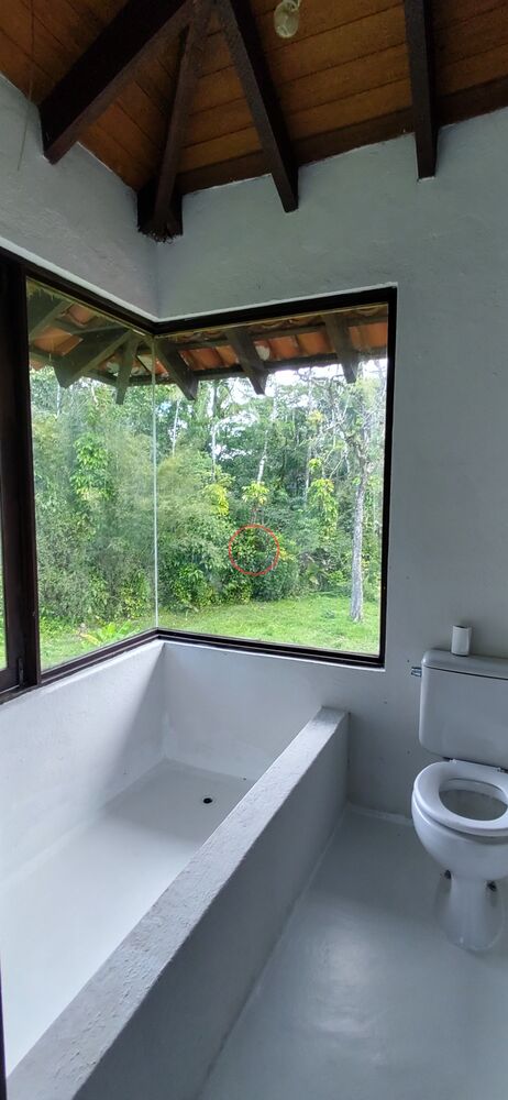 Casa à venda com 2 quartos, 240m² - Foto 33