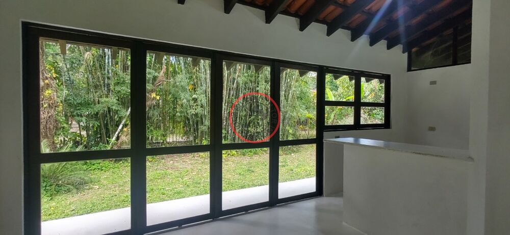 Casa à venda com 2 quartos, 240m² - Foto 23