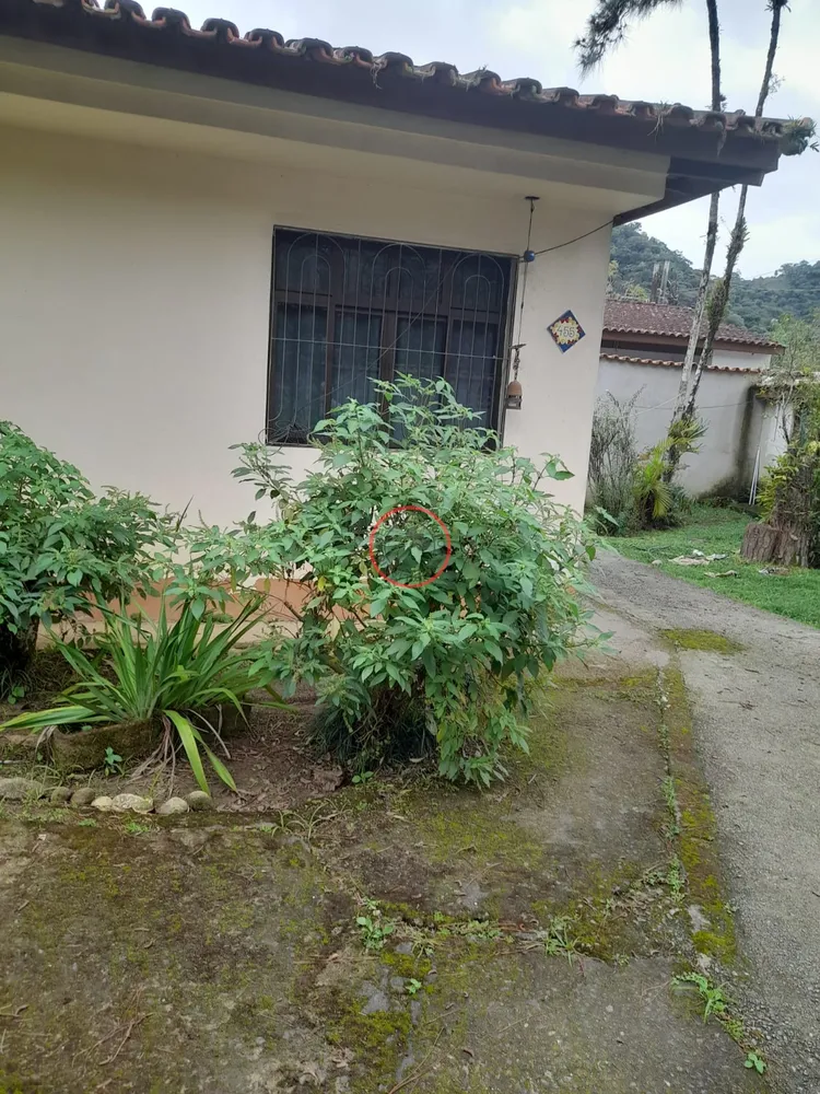 Casa, 5 quartos, 252 m² - Foto 19