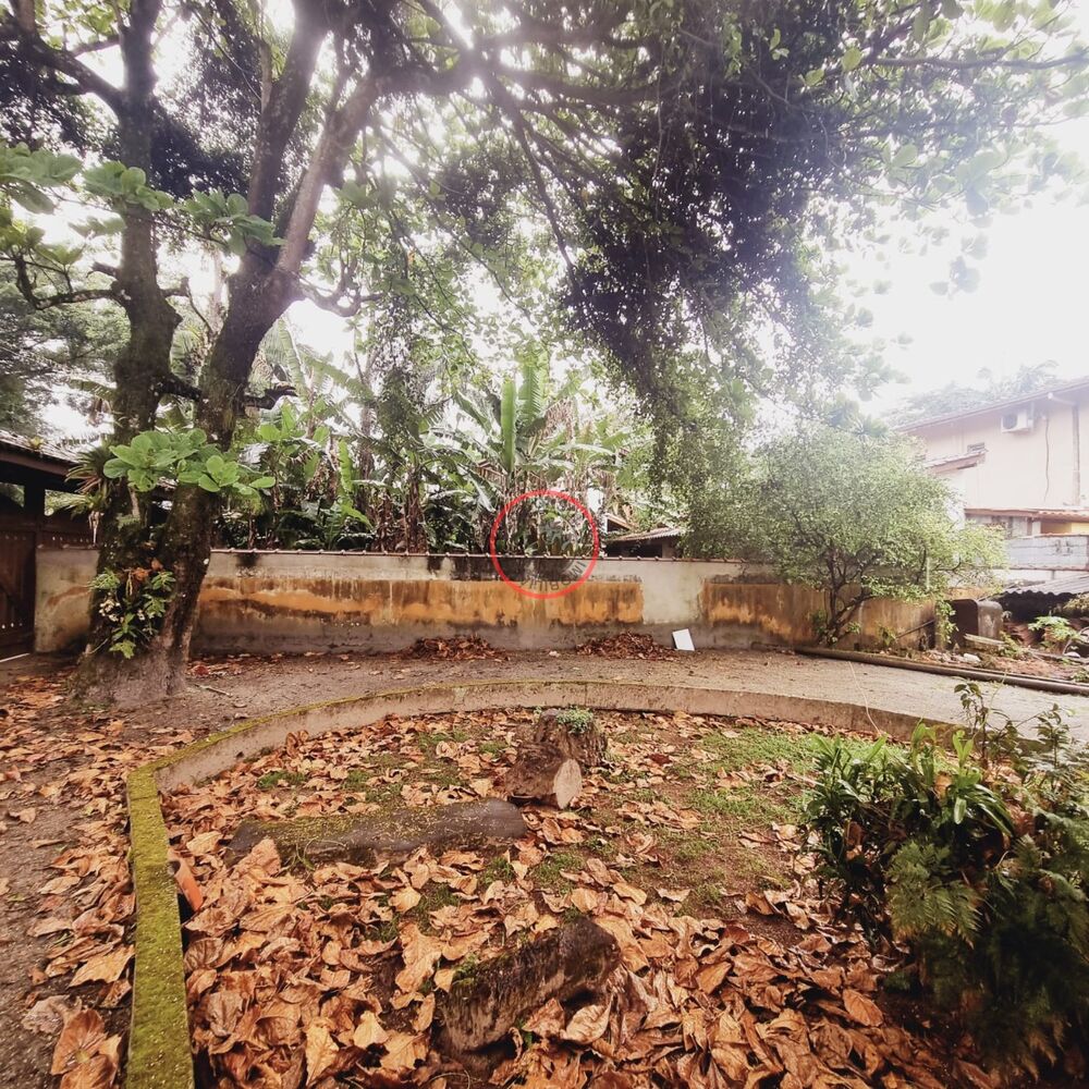 Casa, 5 quartos, 252 m² - Foto 7