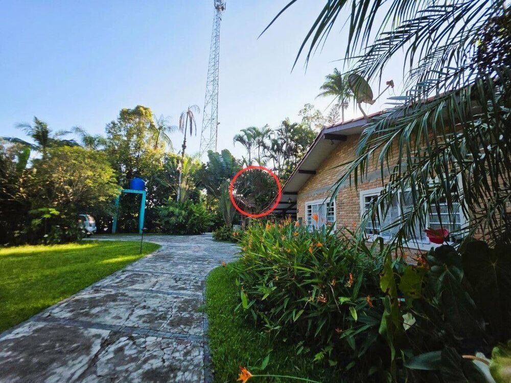 Casa, 5 quartos, 300 m² - Foto 1