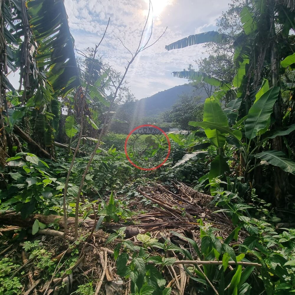 Terreno, 1000 m² - Foto 1