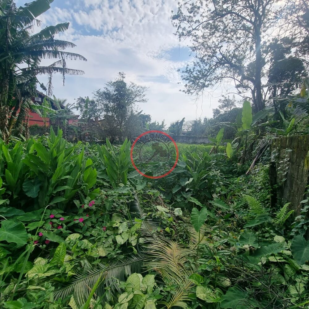 Terreno, 1000 m² - Foto 2