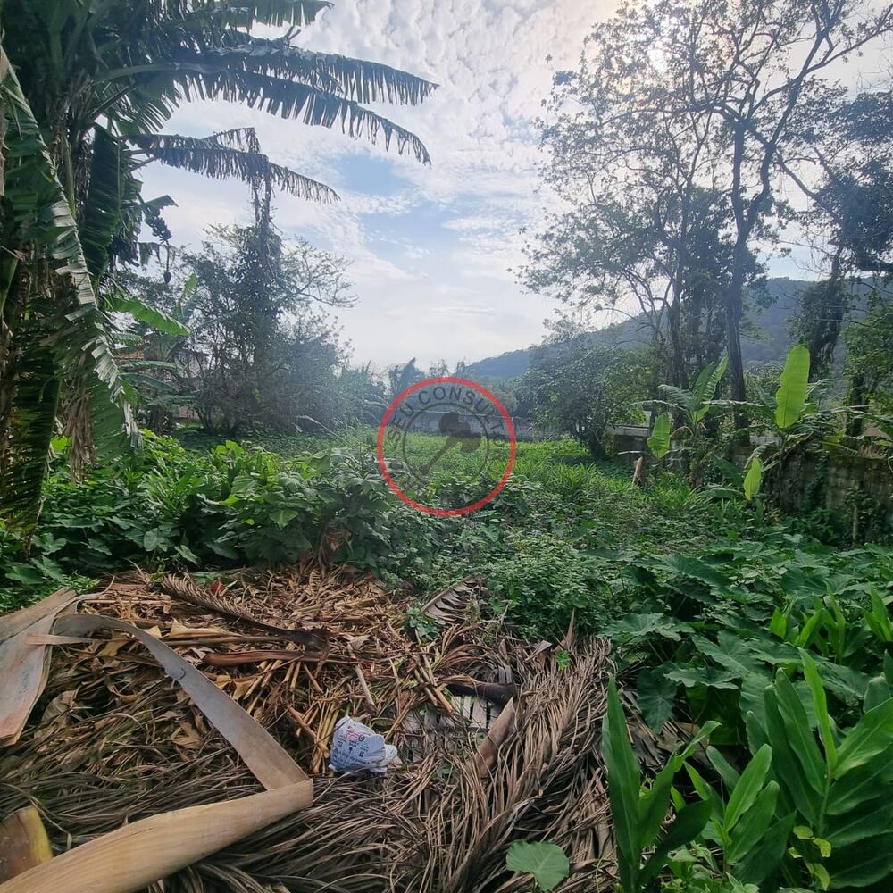 Terreno, 1000 m² - Foto 4