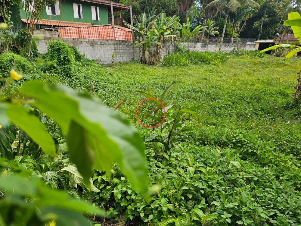 Terreno, 600 m² - Foto 2