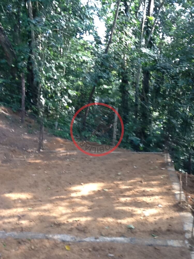 Terreno, 600 m² - Foto 3