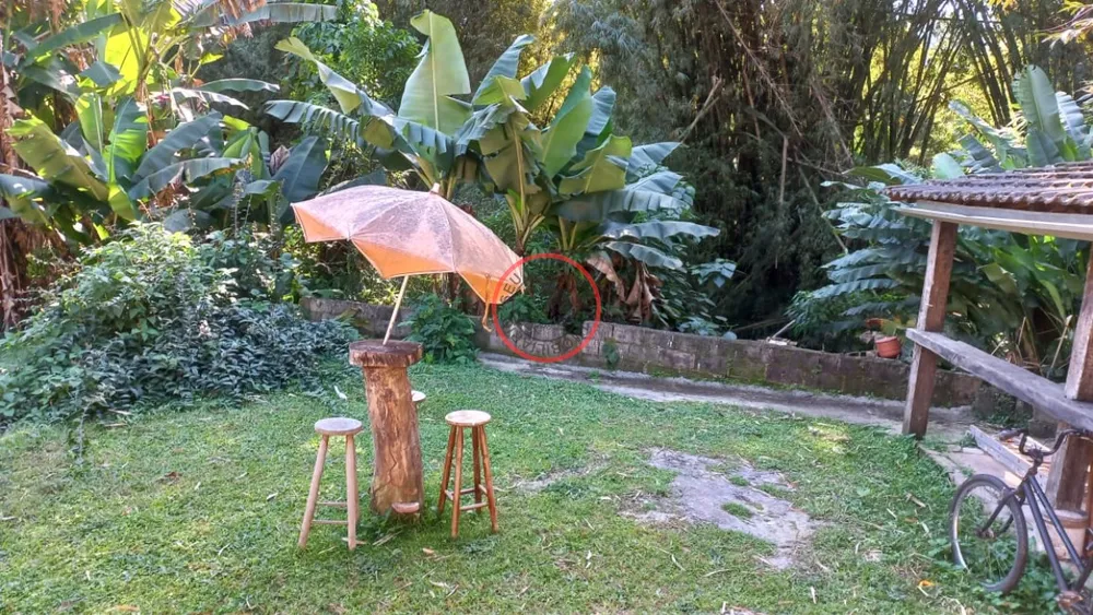 Casa, 7 quartos, 364 m² - Foto 12