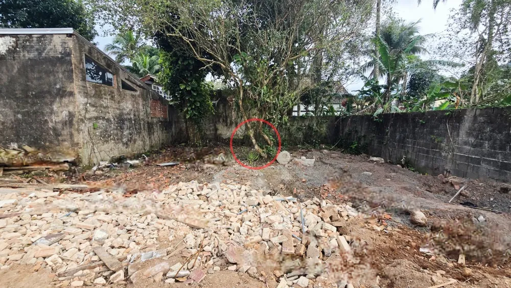 Terreno, 1300 m² - Foto 3