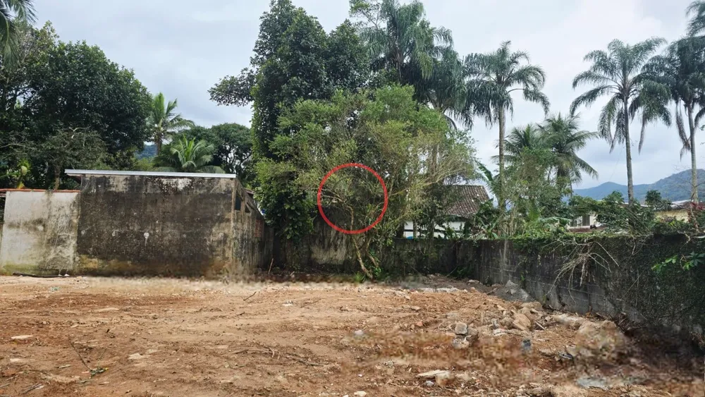 Terreno, 1300 m² - Foto 12
