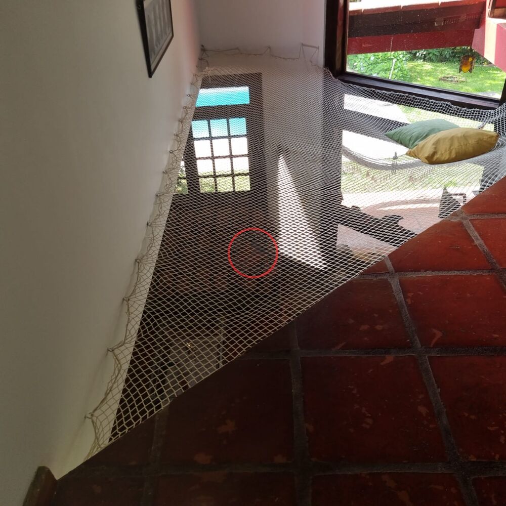 Casa, 3 quartos, 350 m² - Foto 12