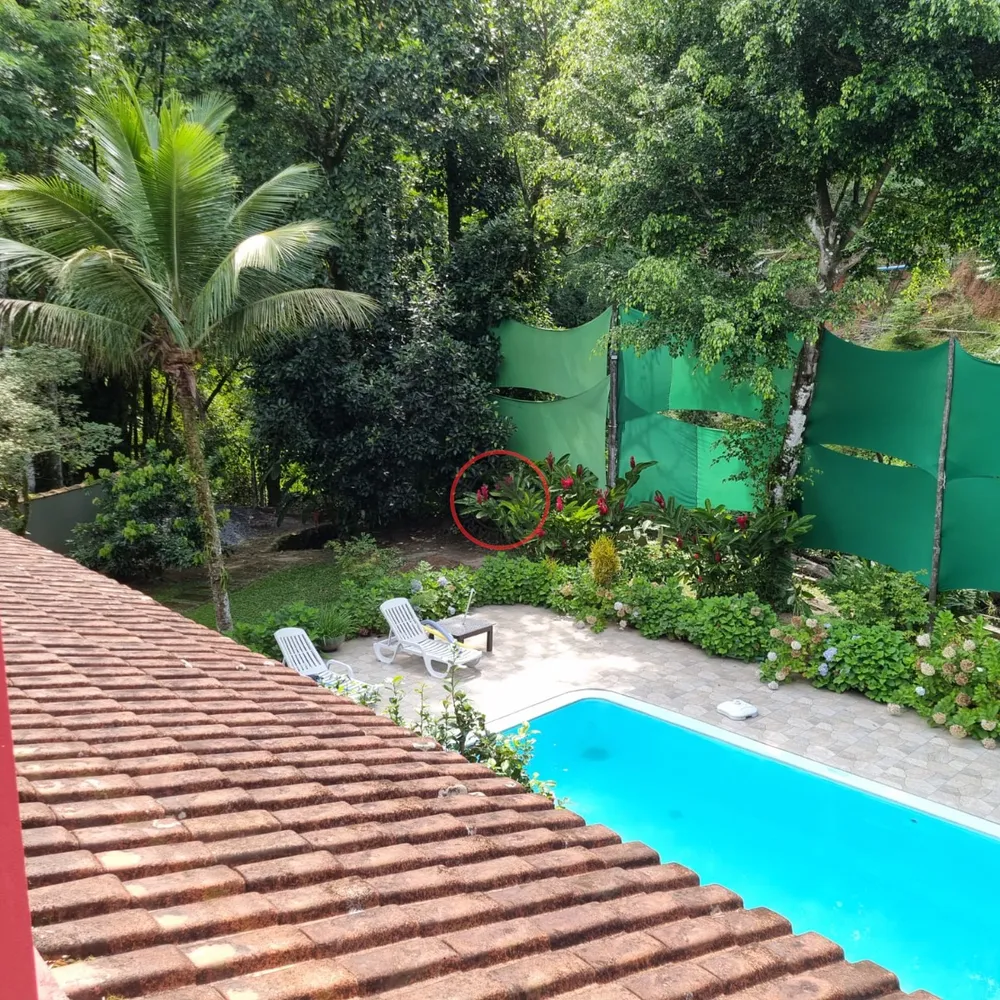 Casa, 3 quartos, 350 m² - Foto 33