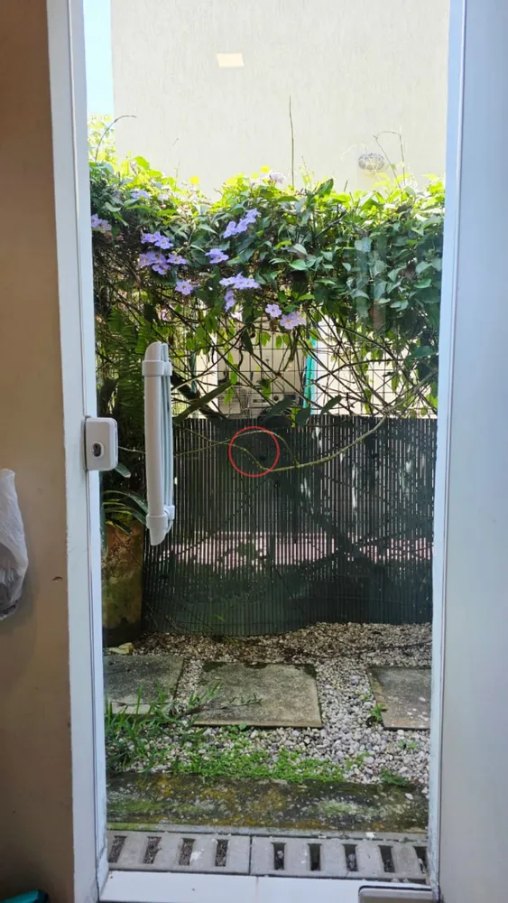 Casa, 3 quartos, 250 m² - Foto 6