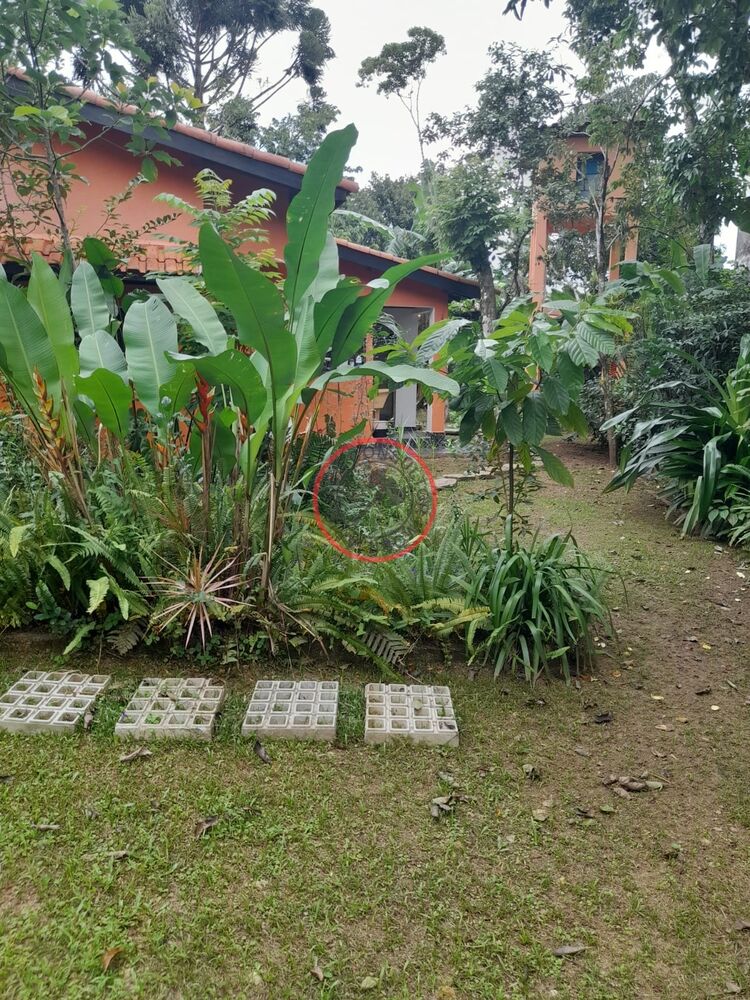Casa, 5 quartos, 241 m² - Foto 16