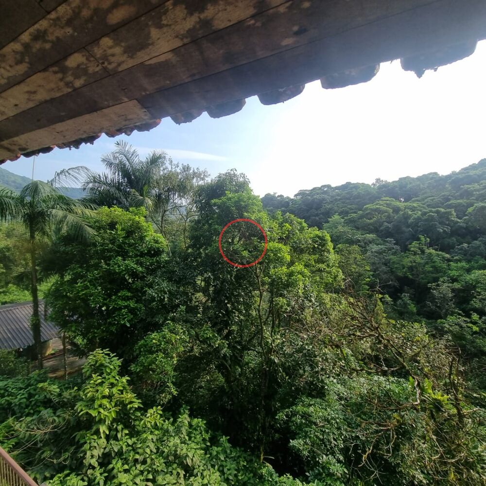 Casa, 3 quartos, 1500 m² - Foto 6