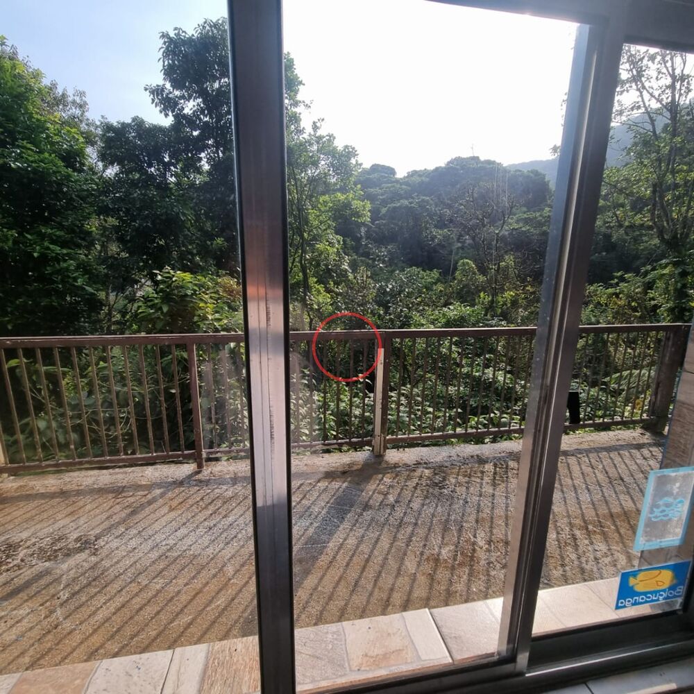 Casa, 3 quartos, 1500 m² - Foto 10