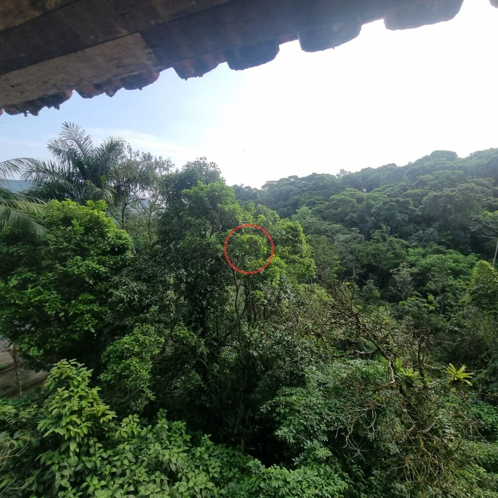Casa, 3 quartos, 1500 m² - Foto 20