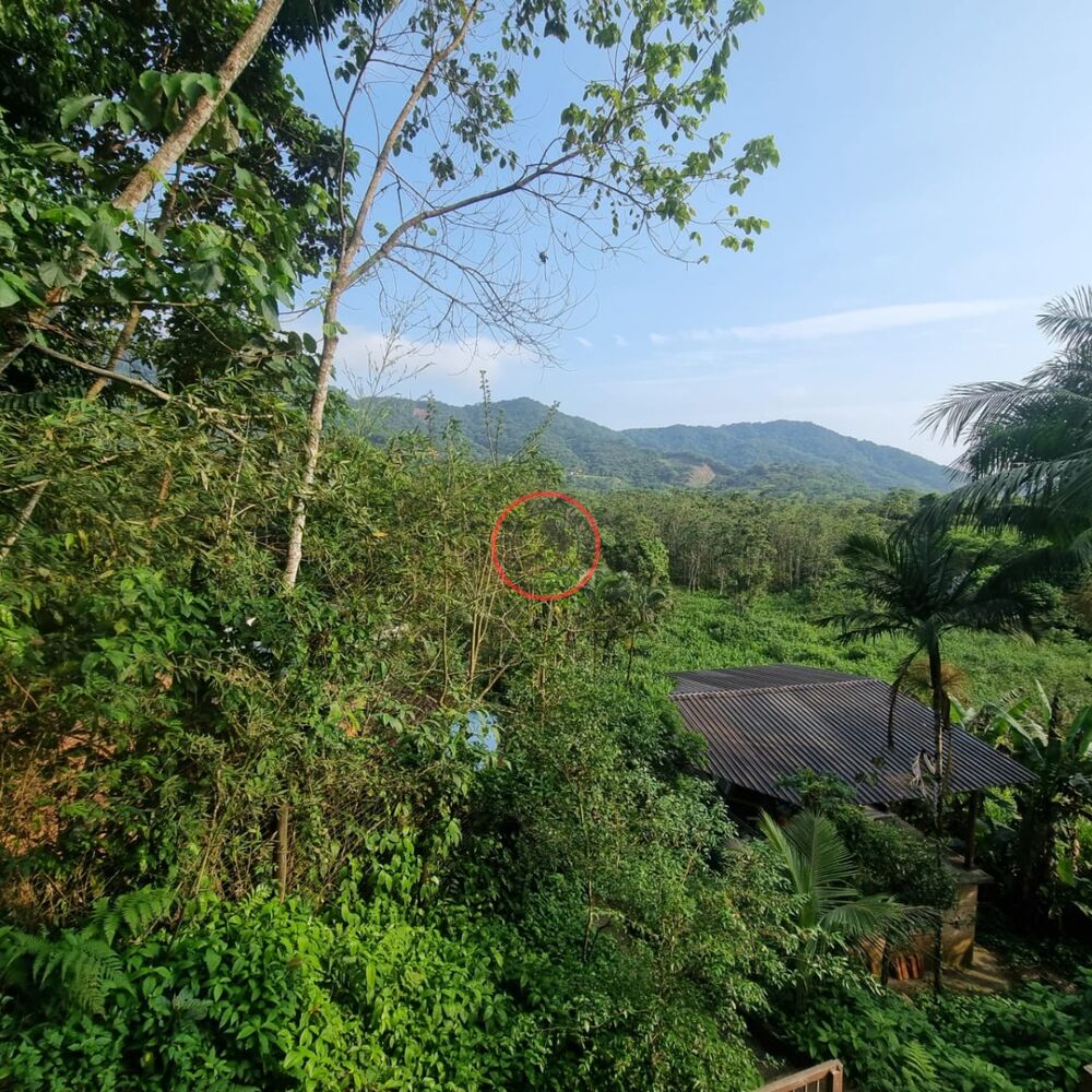 Casa, 3 quartos, 1500 m² - Foto 14
