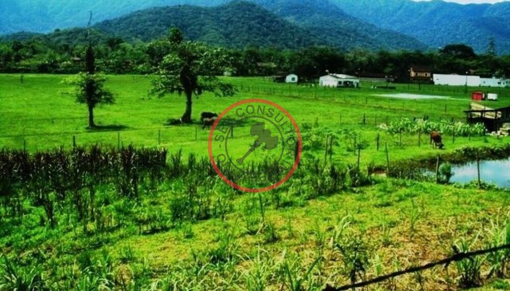 Fazenda, 450 m² - Foto 1