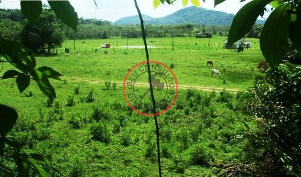 Fazenda, 450 m² - Foto 17