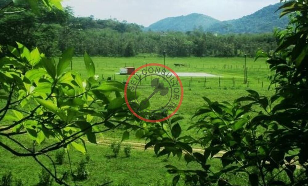 Fazenda, 450 m² - Foto 24